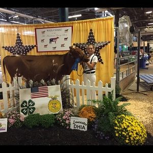 Meet your Posher, Autumn